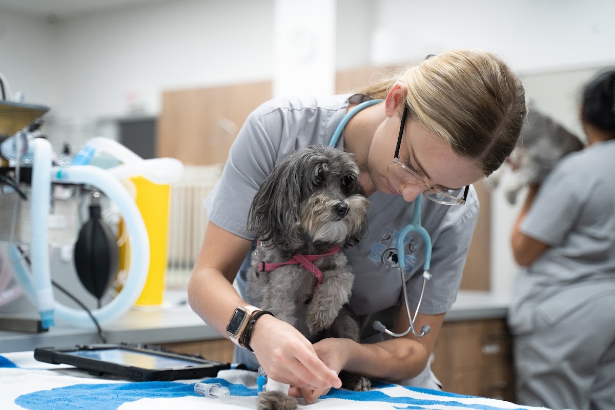 Photo via Google Maps · Veterinary Specialists of Sydney