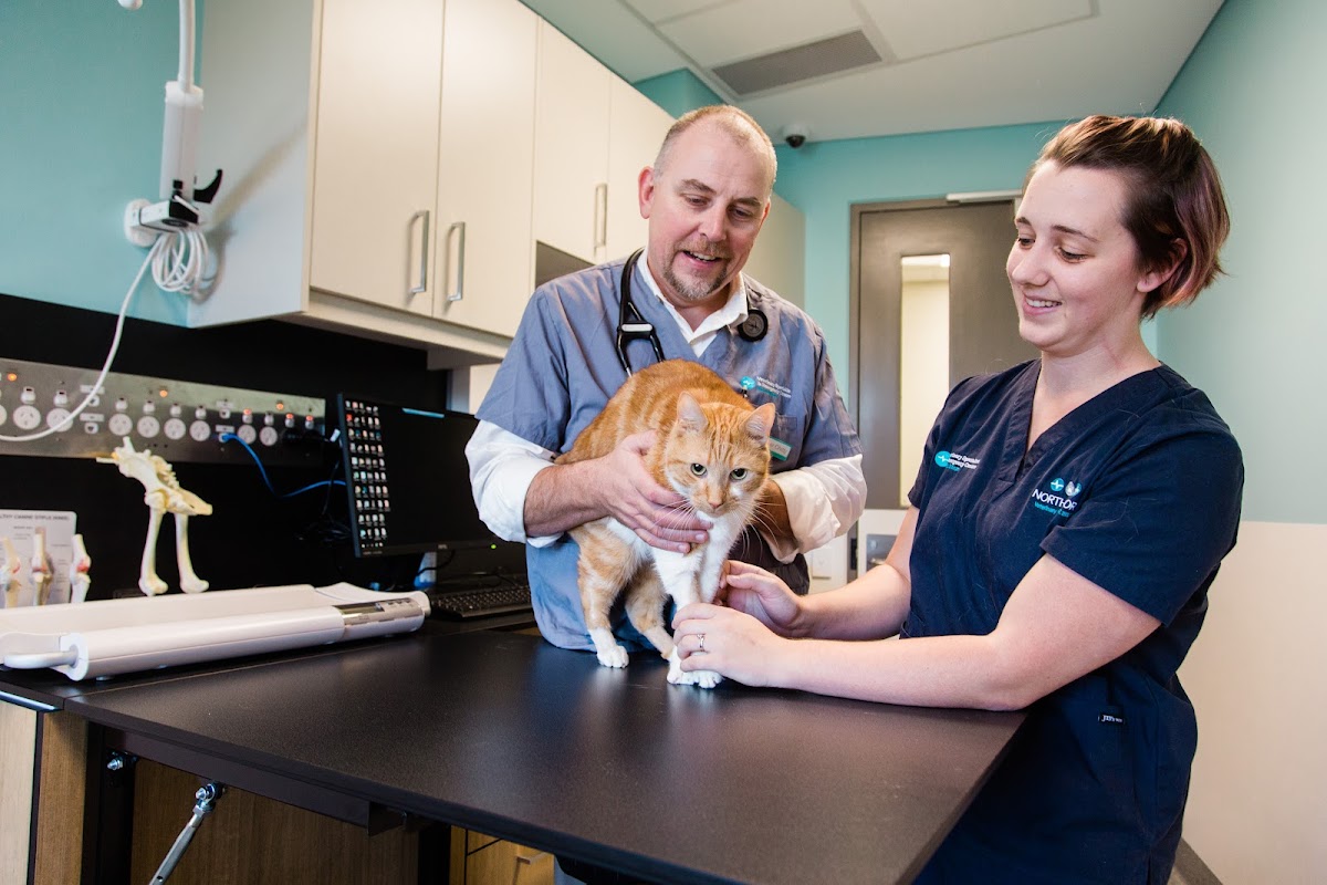Photo via Google Maps · North Shore Veterinary Specialist Centre