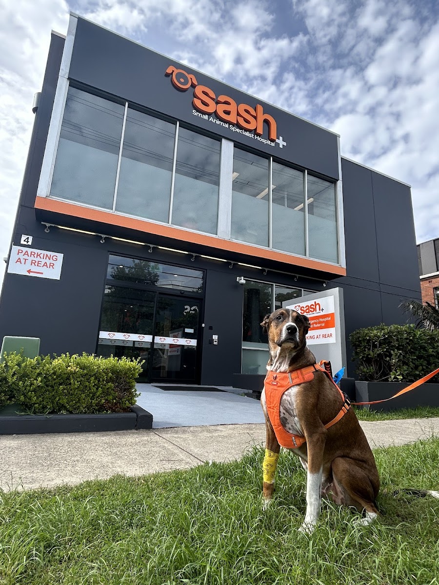 Photo via Google Maps · SASH - Specialist & 24/7 Emergency Vets - Northern Beaches