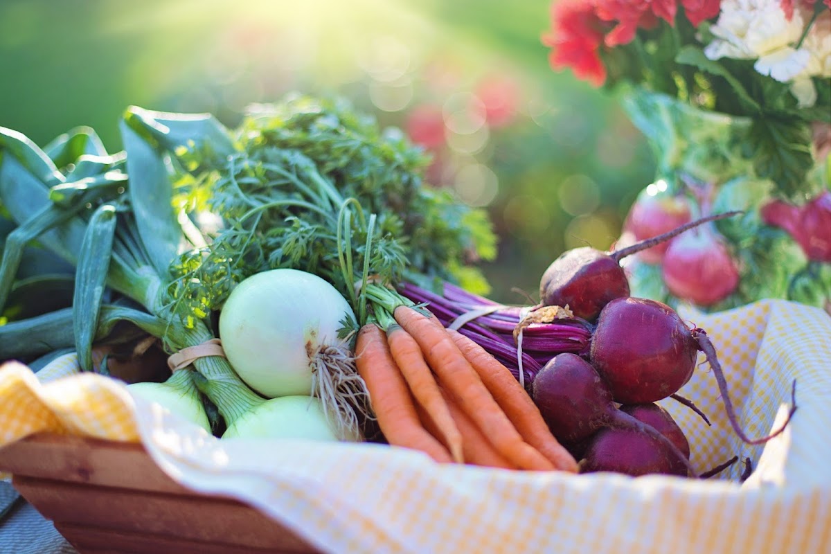 Photo via Google Maps · Casuarina Forsyth Dietitian
