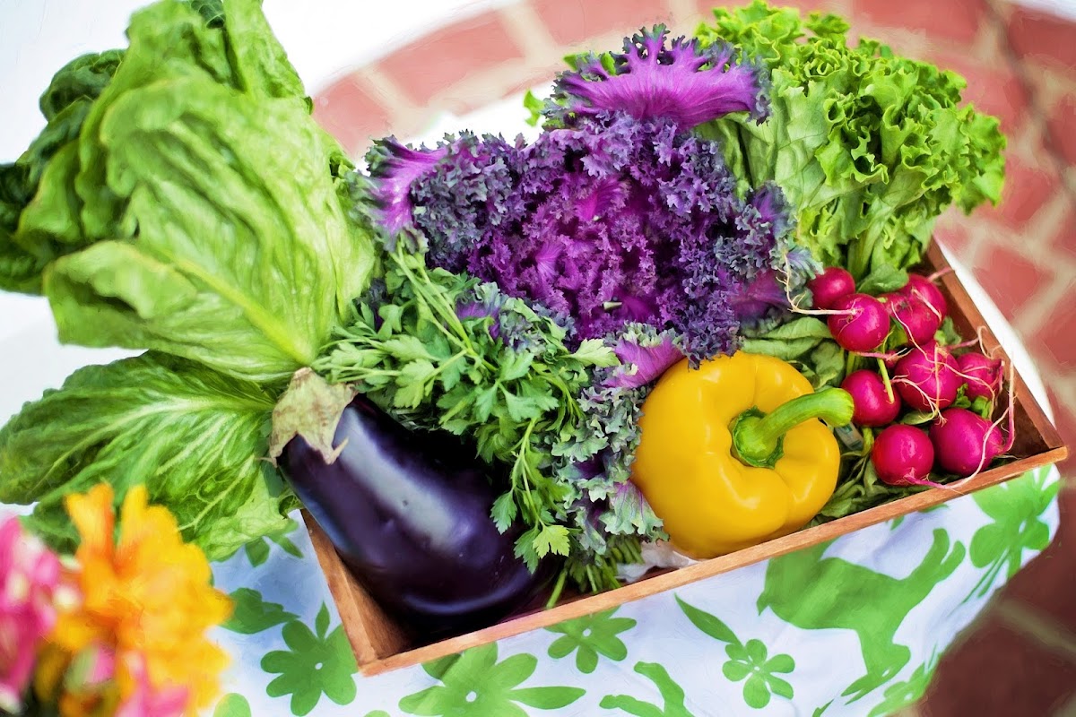Photo via Google Maps · Sunshine Coast Dietitian & Nutritionist