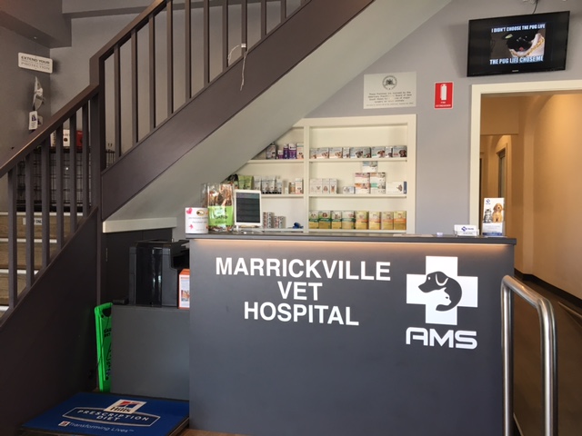 Photo via Google Maps · Marrickville Vet Hospital AMS