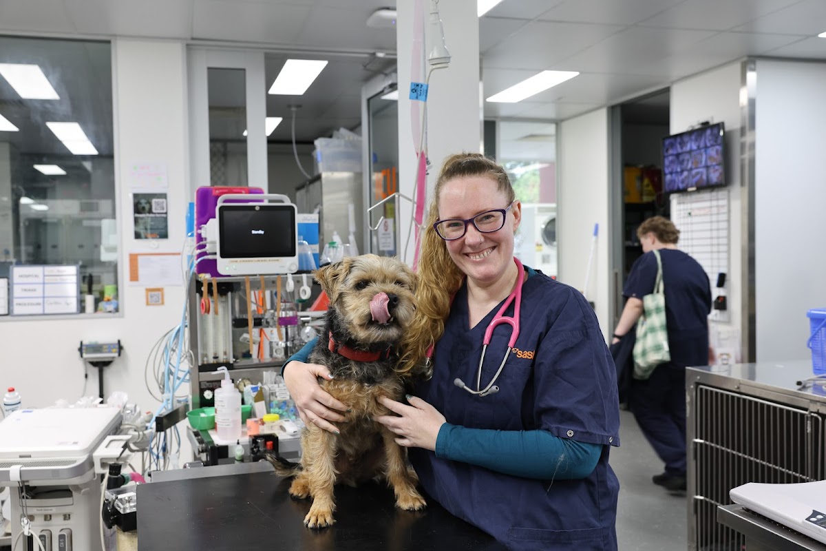 Photo via Google Maps · SASH - Specialist & 24/7 Emergency Vets - Central Coast