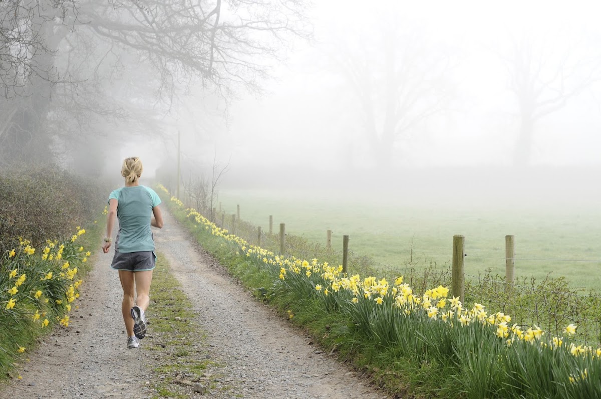 Photo via Google Maps · Melbourne Wellness Coaching